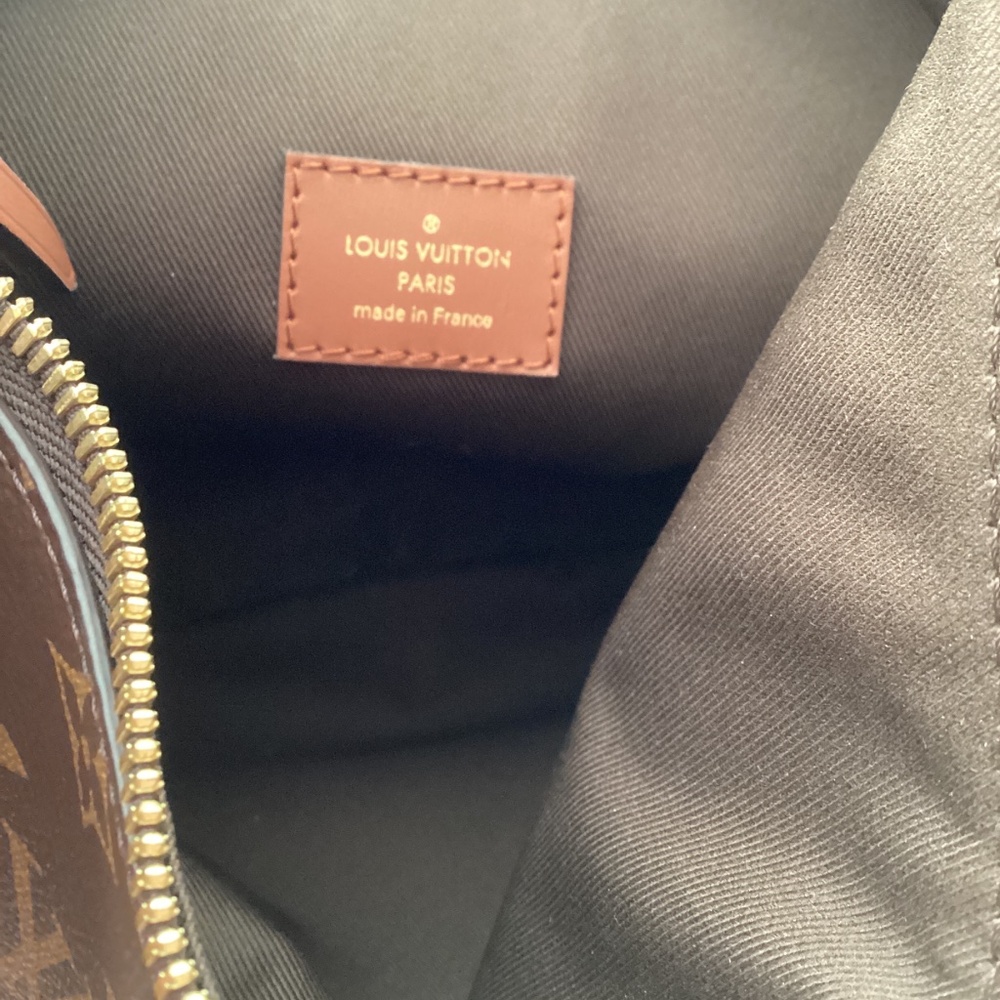 Louis Vuitton Monogram Canvas Hobo with Gold Chain and Brown Leather Trim - Picture 5 of 10